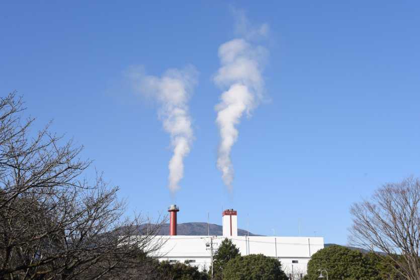 carbón activado industrial 